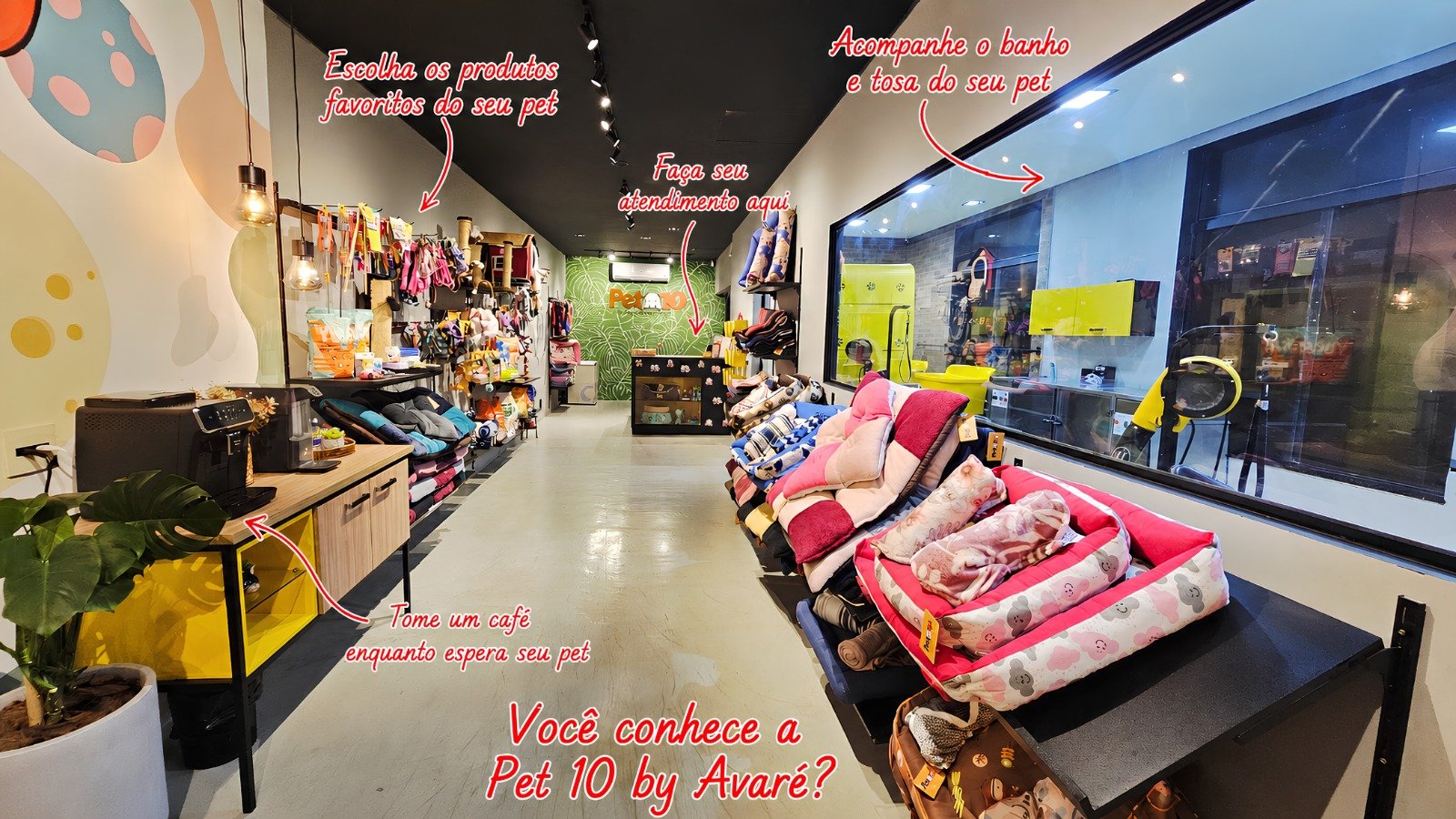 Ambiente organizado da Pet 10 by Avaré