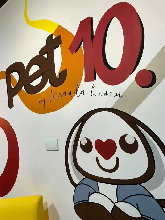 11 (1)
